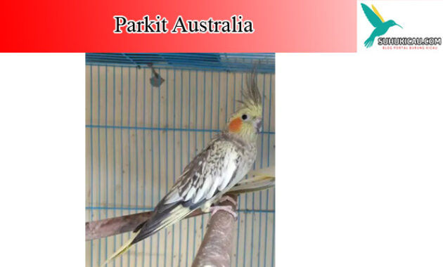 parkit-australia