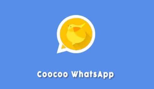 Coocoo WhatsApp