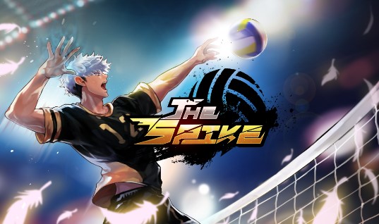 free coupon code the spike volleyball
