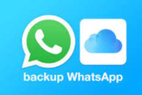 Cara Backup WhatsApp iPhone Ke iCloud